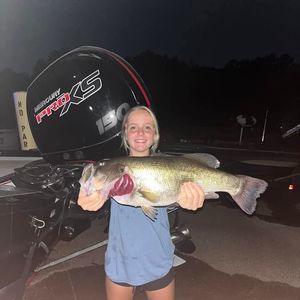 Meet your Posher, Avery